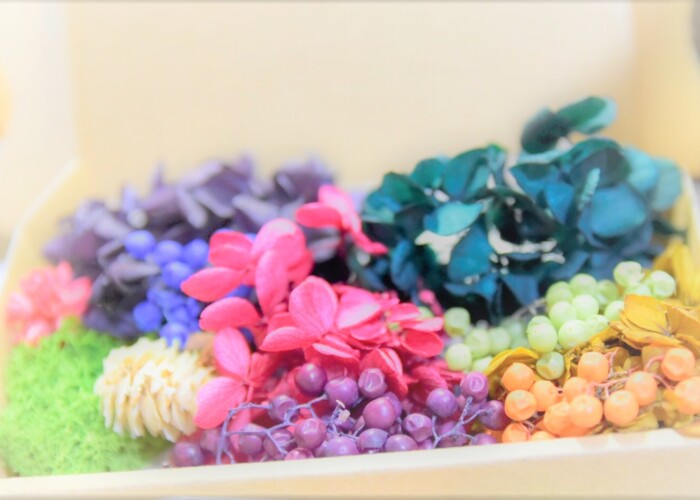 204 KB
1487 x 932 ピクセル