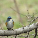 8 MB
4608 x 3456 ピクセル