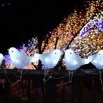 427 KB
1578 x 888 ピクセル
aasan