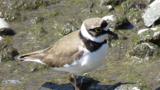 ファイルサイズ: 340 KB
サイズ: 990 x 742 ピクセル