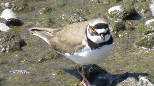 ファイルサイズ: 322 KB
サイズ: 952 x 714 ピクセル