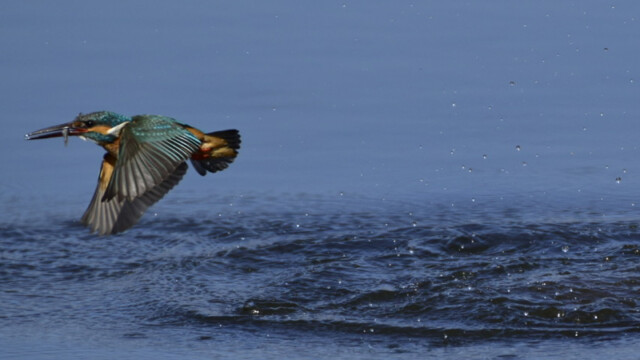 aasan
350 KB
800 x 600 ピクセル