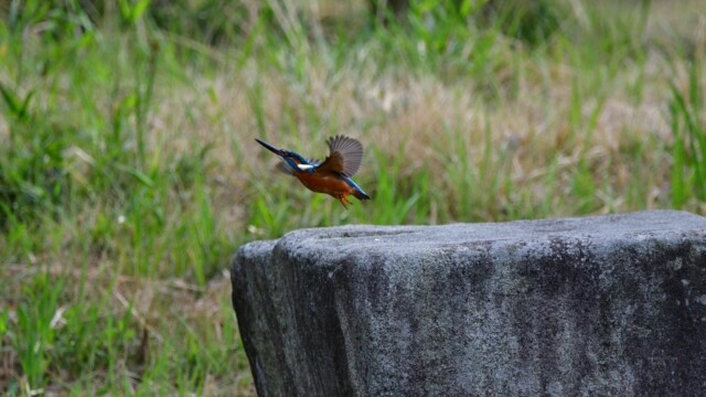 ファイルサイズ: 477 KB
サイズ: 1620 x 1080 ピクセル
aasan