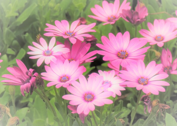 ファイルサイズ: 2 MB
サイズ: 4608 x 3456 ピクセル