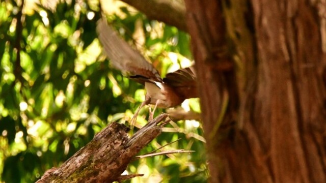 aasan
126 KB
738 x 493 ピクセル