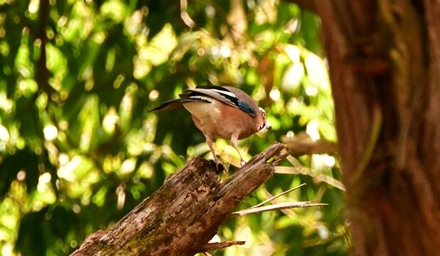 aasan
106 KB
618 x 412 ピクセル