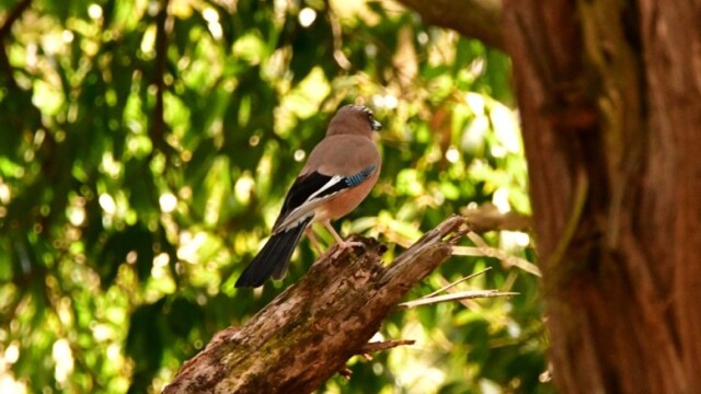 aasan
143 KB
778 x 519 ピクセル