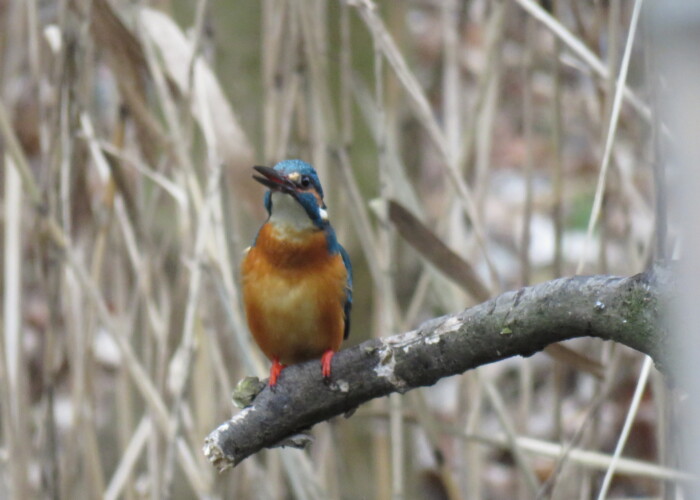 7 MB
4608 x 3456 ピクセル