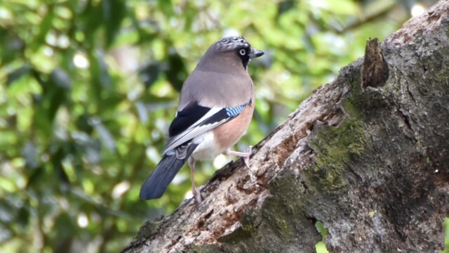 maa
281 KB
1183 x 789 ピクセル