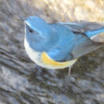 9 MB
4608 x 3456 ピクセル