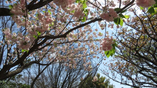 maa
ファイルサイズ: 579 KB
サイズ: 1000 x 750 ピクセル